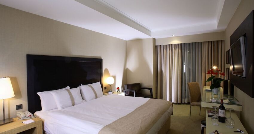 Holiday Inn Istanbul Airport Hotel