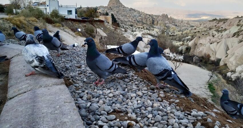 kapadokya 1 Gece Konaklama 