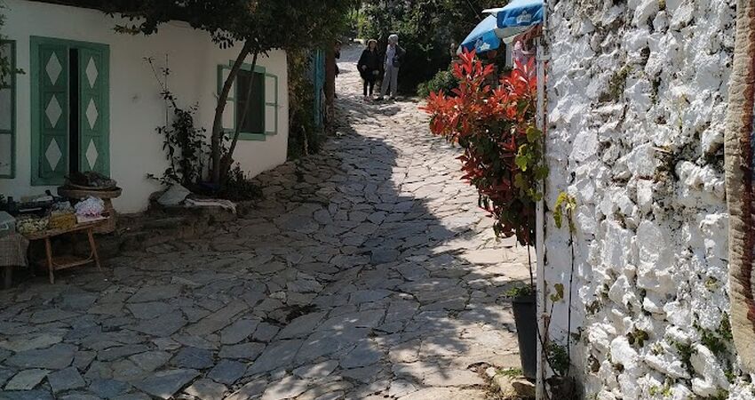 EGENİN SEVİMLİ BELDELERİ VE SONBAHAR PAZARLARI