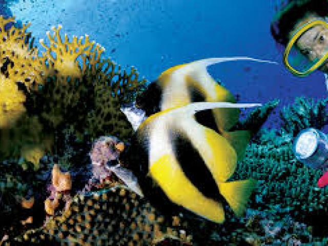 Mısır Turu-Sharm El Sheikh 