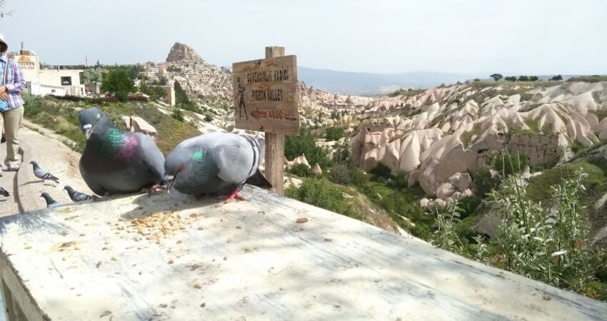 Kapadokya Turu Perşembe Hareket